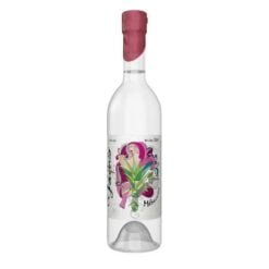 El Jolgorio  Madrecuize Mezcal